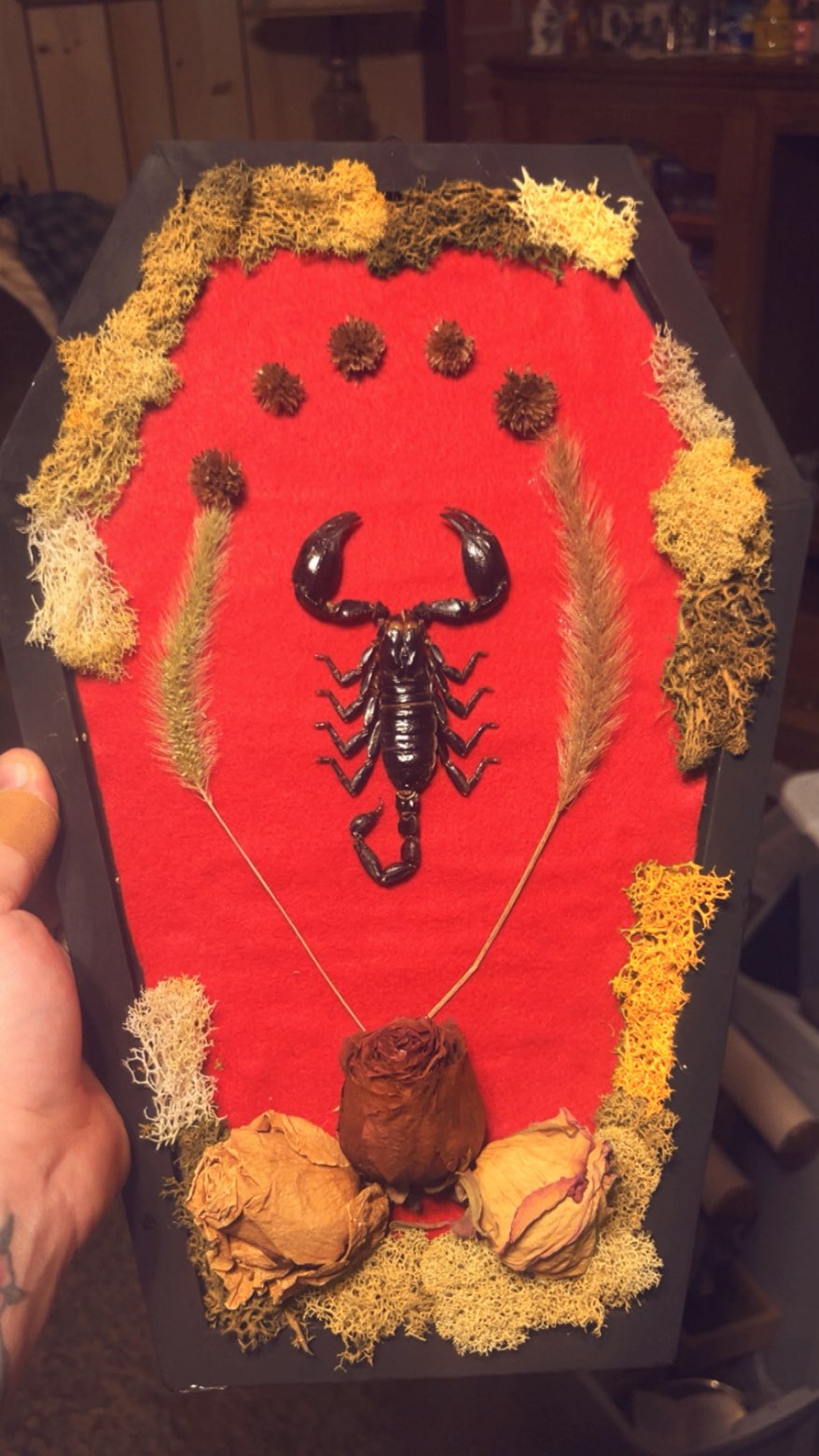 Scorpion Decor