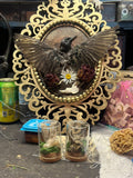 Starling Decor