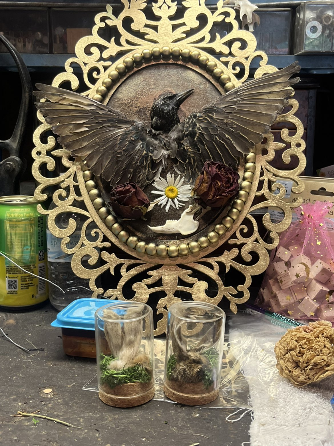 Starling Decor