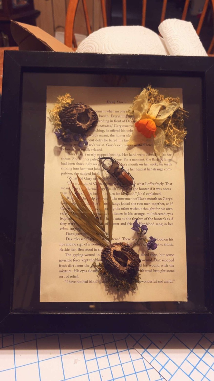 Book and Beetle Shadow Box