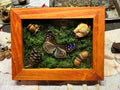 Butterfly, Acorn, Pine Cone, and Rose Decor