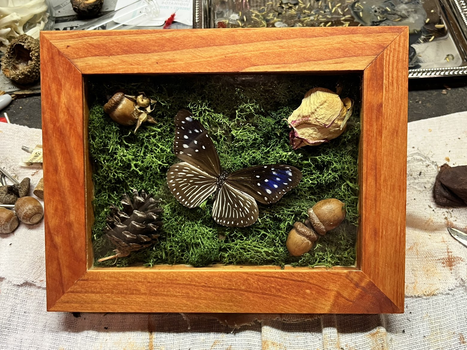 Butterfly, Acorn, Pine Cone, and Rose Decor