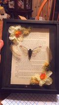 Cicada, Daffodil, and Book Shadowbox