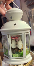 Butterfly Lantern
